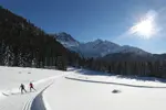 Les 7 Laux nordic skiing.webp