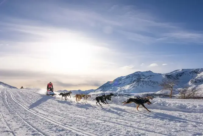 Aussois-Dog sledding (2).webp