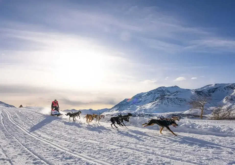 Aussois-Dog sledding (2).webp