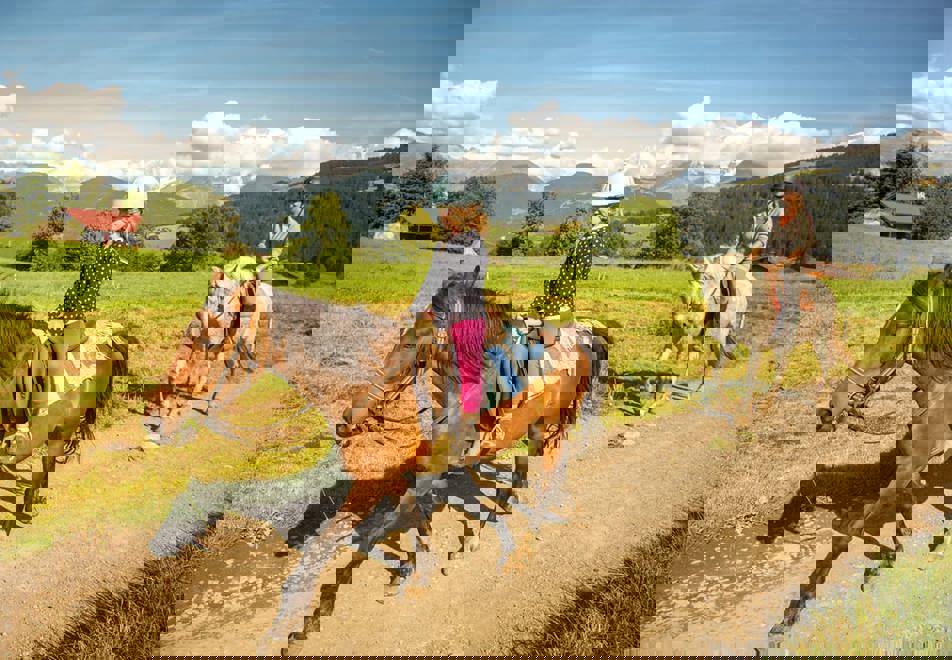 Combloux horse riding (©Rickards)