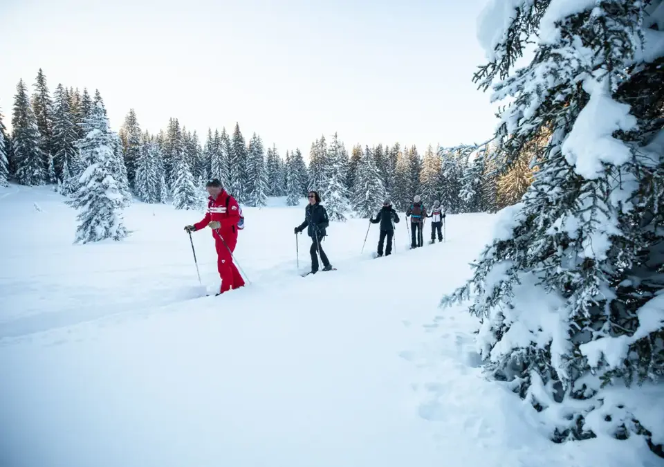 Les Gets snowshoring (©Mel_Carle) (2).webp