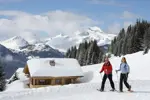 ©Avoriaz 1800 snowshoeing.webp