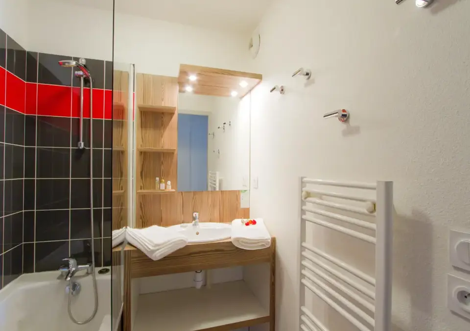 l'Ours Blanc-Les Deux Alpes-Typical apartment (6).webp