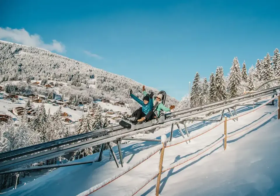 Les Gets luge mountain coaster.webp