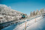Les Gets luge mountain coaster.webp