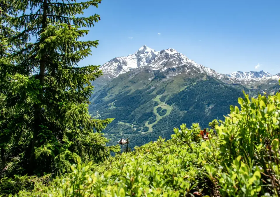 View from La Rosiere over Mont-Pourri (@La-Rosiere-Tourisme).webp