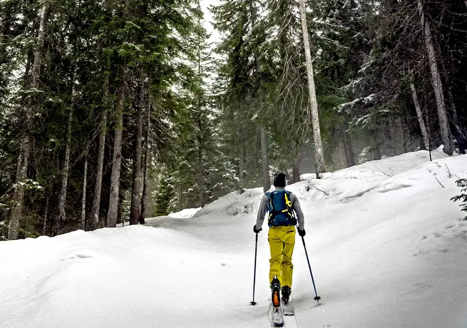 Manigod ski touring (2).webp