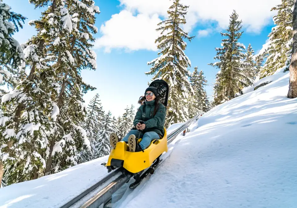 La Rosiere luge mountain coaster (@LaRosiereTourisme).webp