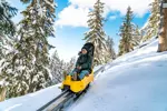 La Rosiere luge mountain coaster (@LaRosiereTourisme).webp
