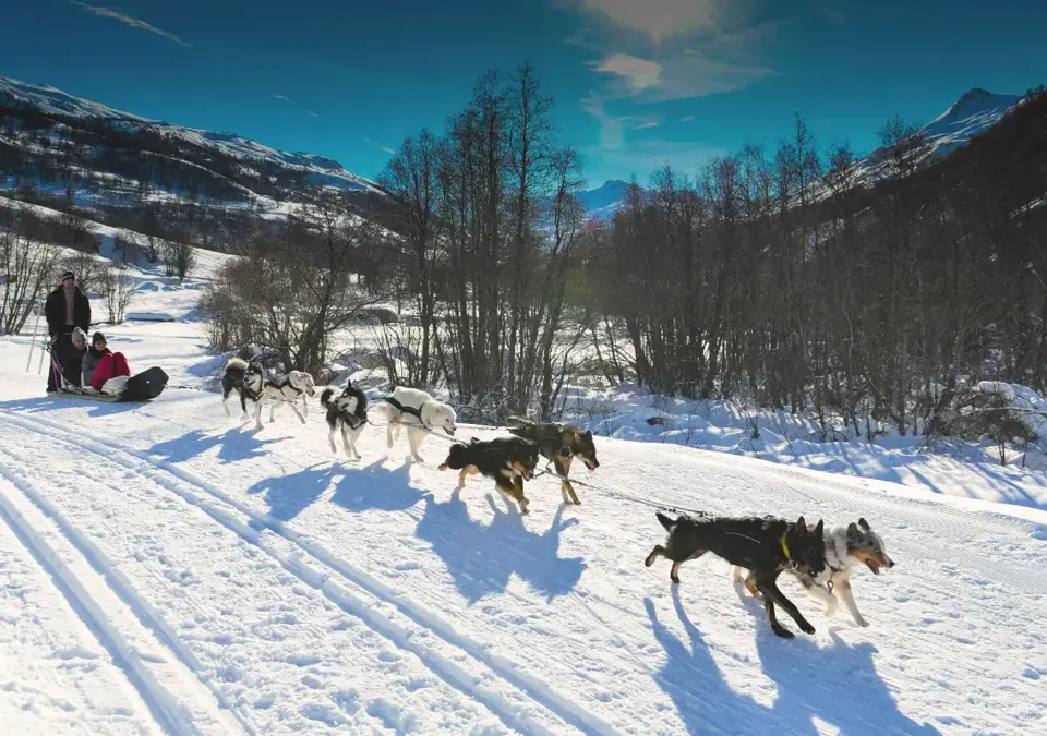 Les Menuires dog sledding.webp
