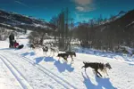 Les Menuires dog sledding.webp