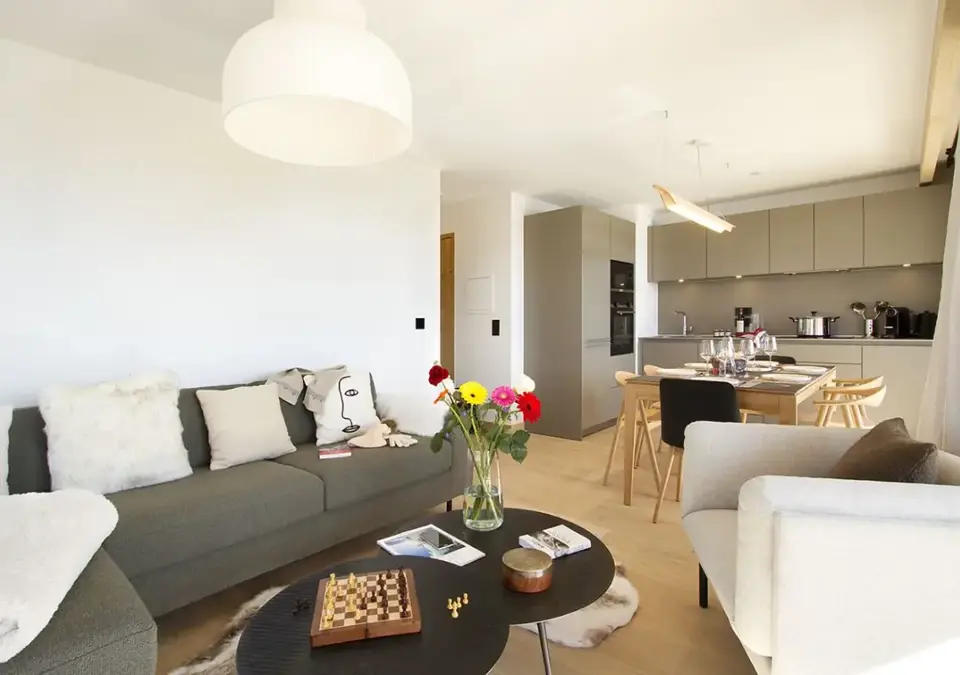 Phoenix-Alpe d'Huez-Typical C building apartments (3).webp