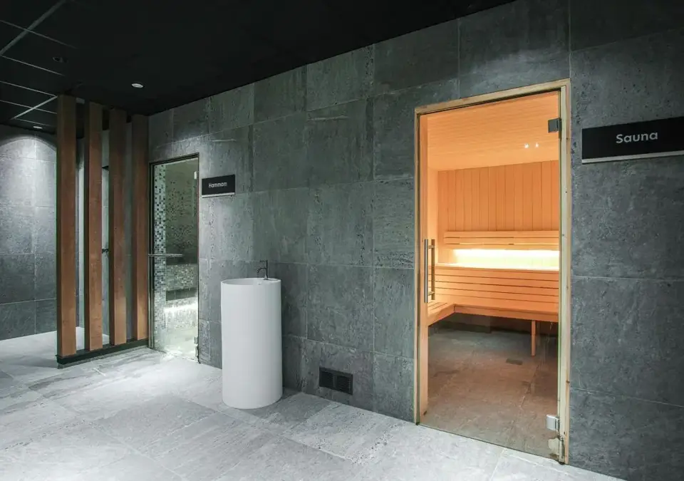Panorama-Flaine-Spa-Sauna-steam room.webp