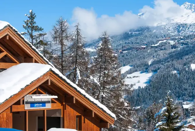 Les Chalets de Wengen-Les Coches (3).webp