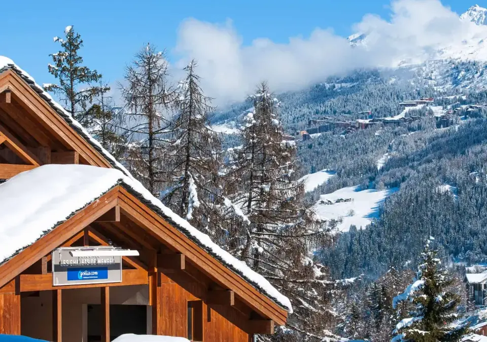Les Chalets de Wengen-Les Coches (3).webp