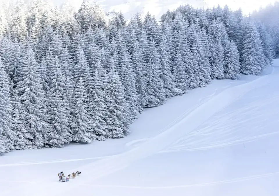 Villard de Lans La Grande Odyssee event.webp