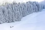 Villard de Lans La Grande Odyssee event.webp