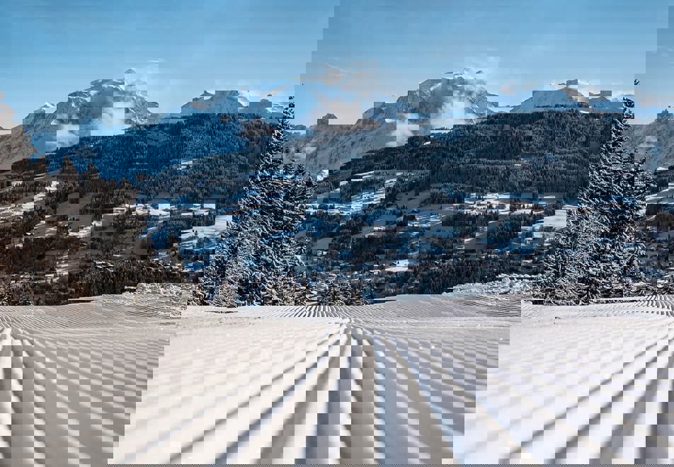 Combloux tree-lined ski slopes (©MarineMartin)