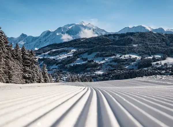 Combloux tree-lined ski slopes (©MarineMartin)