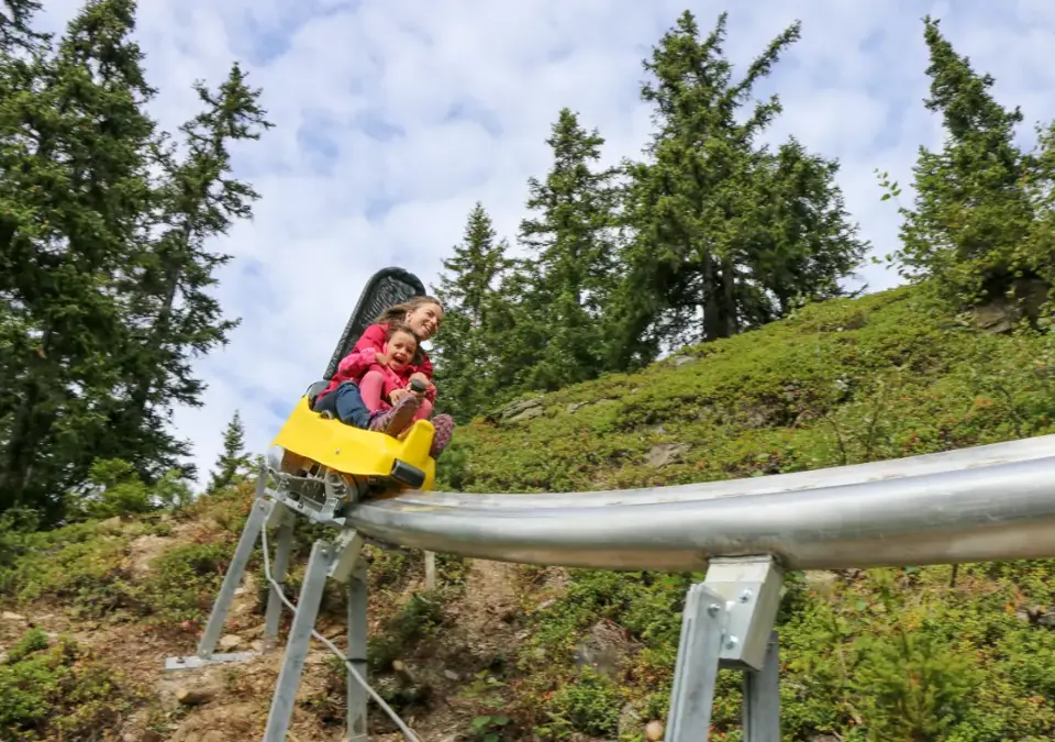 La Rosiere luge mountain coaster.webp