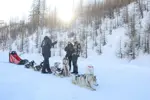 Isola 2000 dog sledding (3).webp