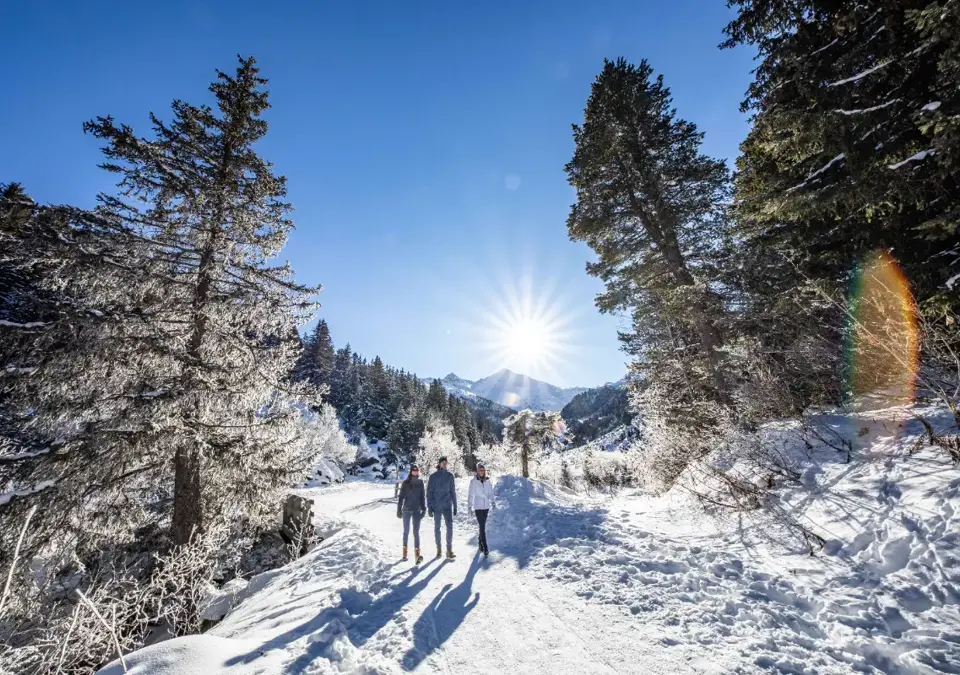 Meribel walking in the forest.webp