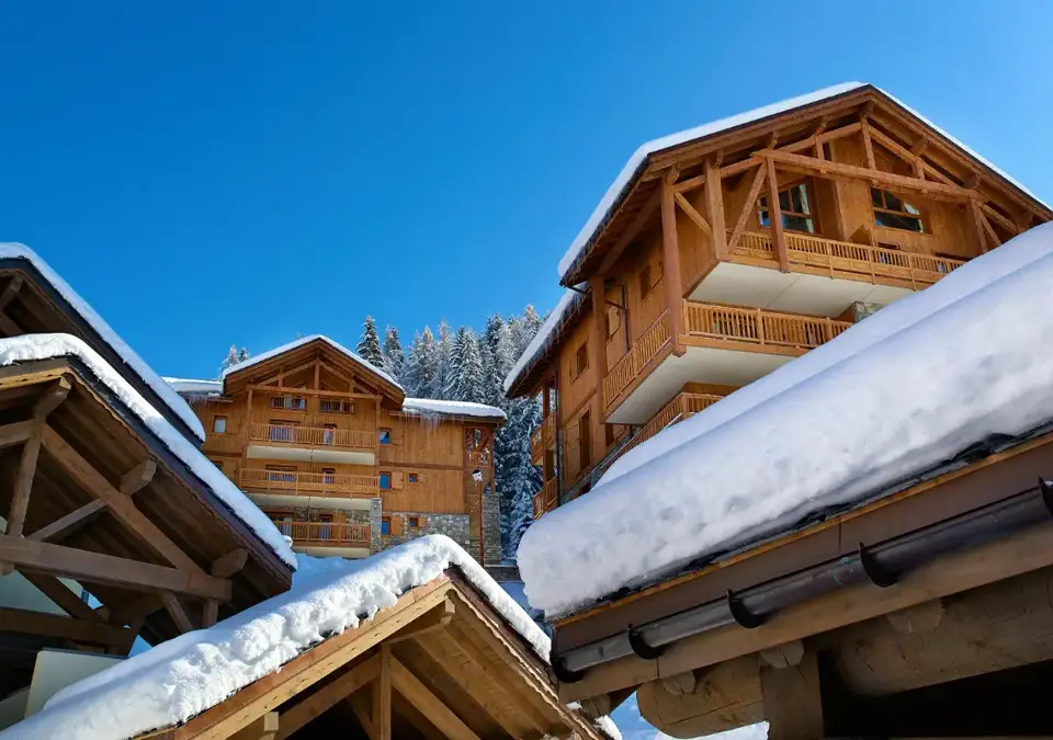l'Oree des Cimes-Peisey Vallandry (3).webp