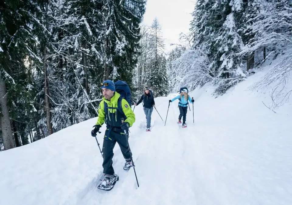 Chamonix-Snowshoeing (©Jeremy_CALVO).webp