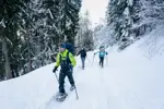 Chamonix-Snowshoeing (©Jeremy_CALVO).webp