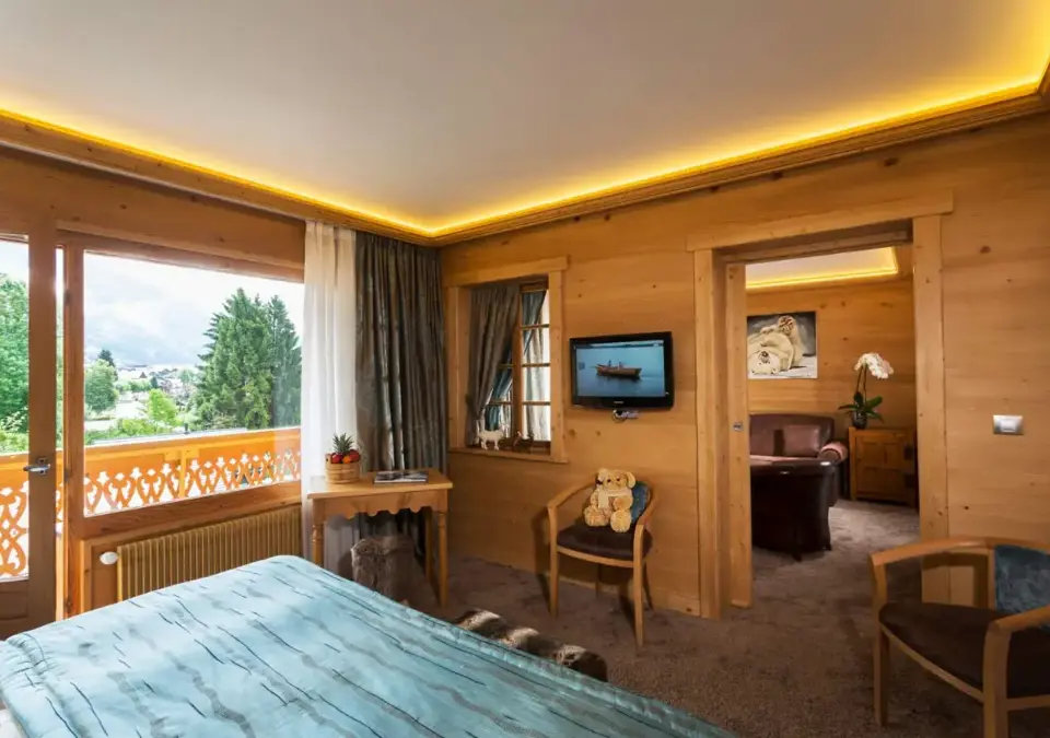 Neige et Roc-Samoens-Apartments (1).webp