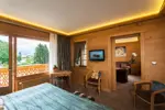 Neige et Roc-Samoens-Apartments (1).webp