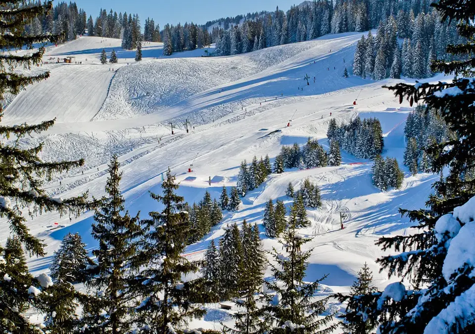 Chatel-Skiing (3).webp
