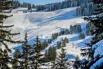 Chatel-Skiing (3).webp
