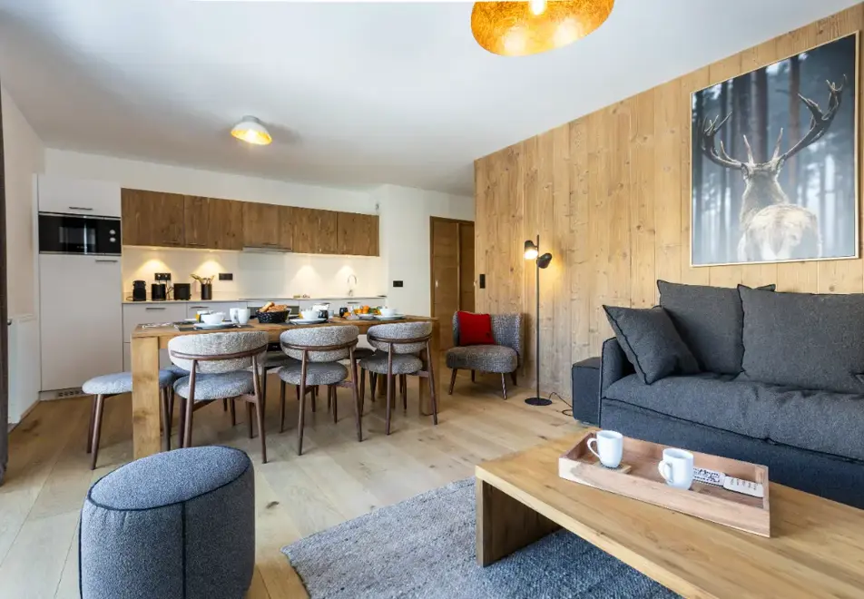 Source de Canopee, Saint Gervais les Bains - Typical 2 bed alc 8 (©ManuReyBoz)