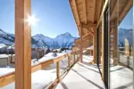 Chalet Le Lynx-Les Deux Alpes (6).webp