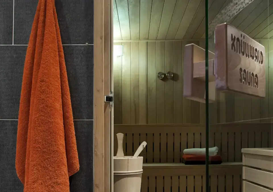 Les Chalets du Jouvence-Les Carroz d'Araches-Sauna.webp