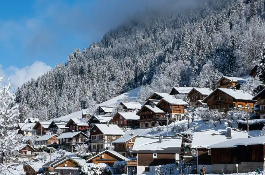 Areches Beaufort (@PalomaStribyencore).webp