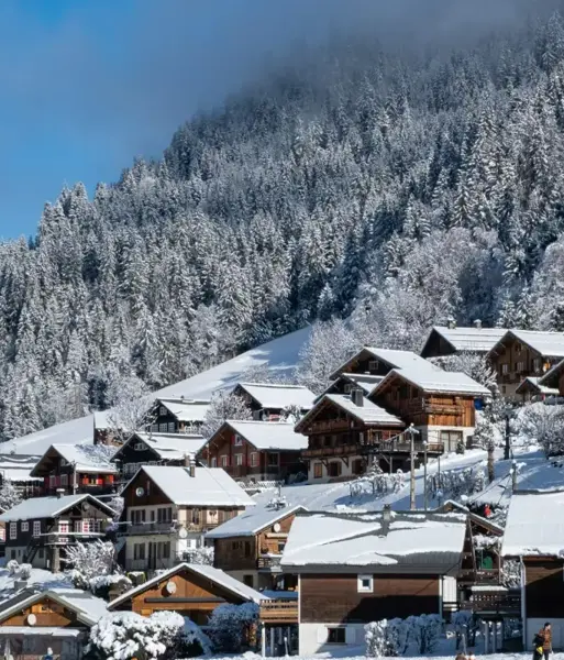 Areches Beaufort (@PalomaStribyencore).webp
