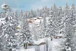 Chamrousse Ski Resort (©VGenin) (16).webp