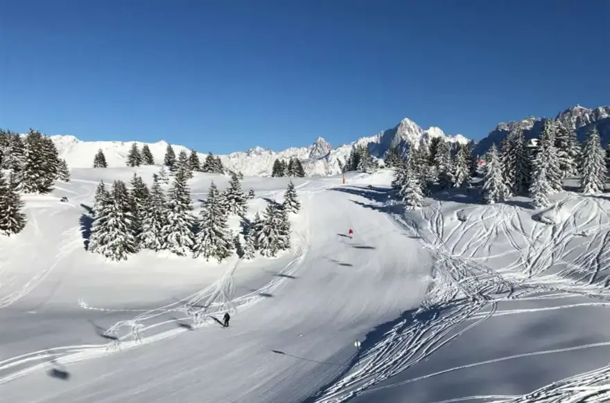 Les Houches-Mont Blanc-Treeline skiing (1).webp