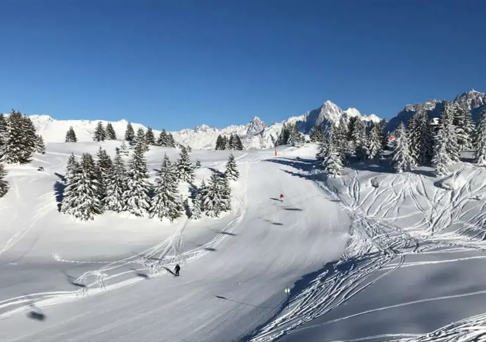 Les Houches-Mont Blanc-Treeline skiing (1).webp