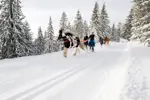 Avoriaz ski joering ©Oreli.b6056.webp