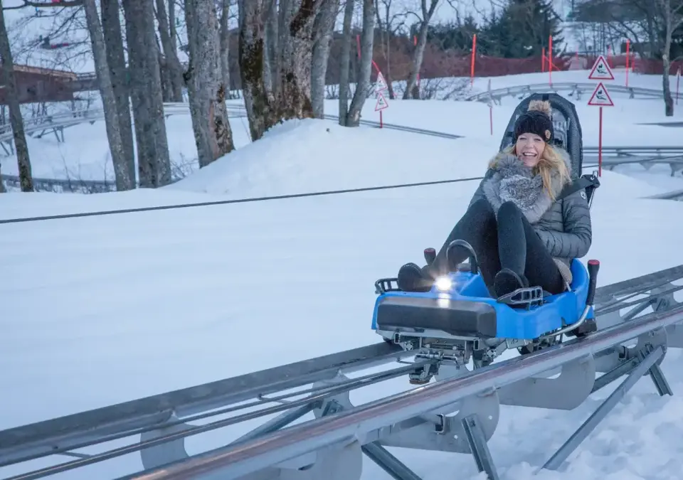 Combloux luge.webp