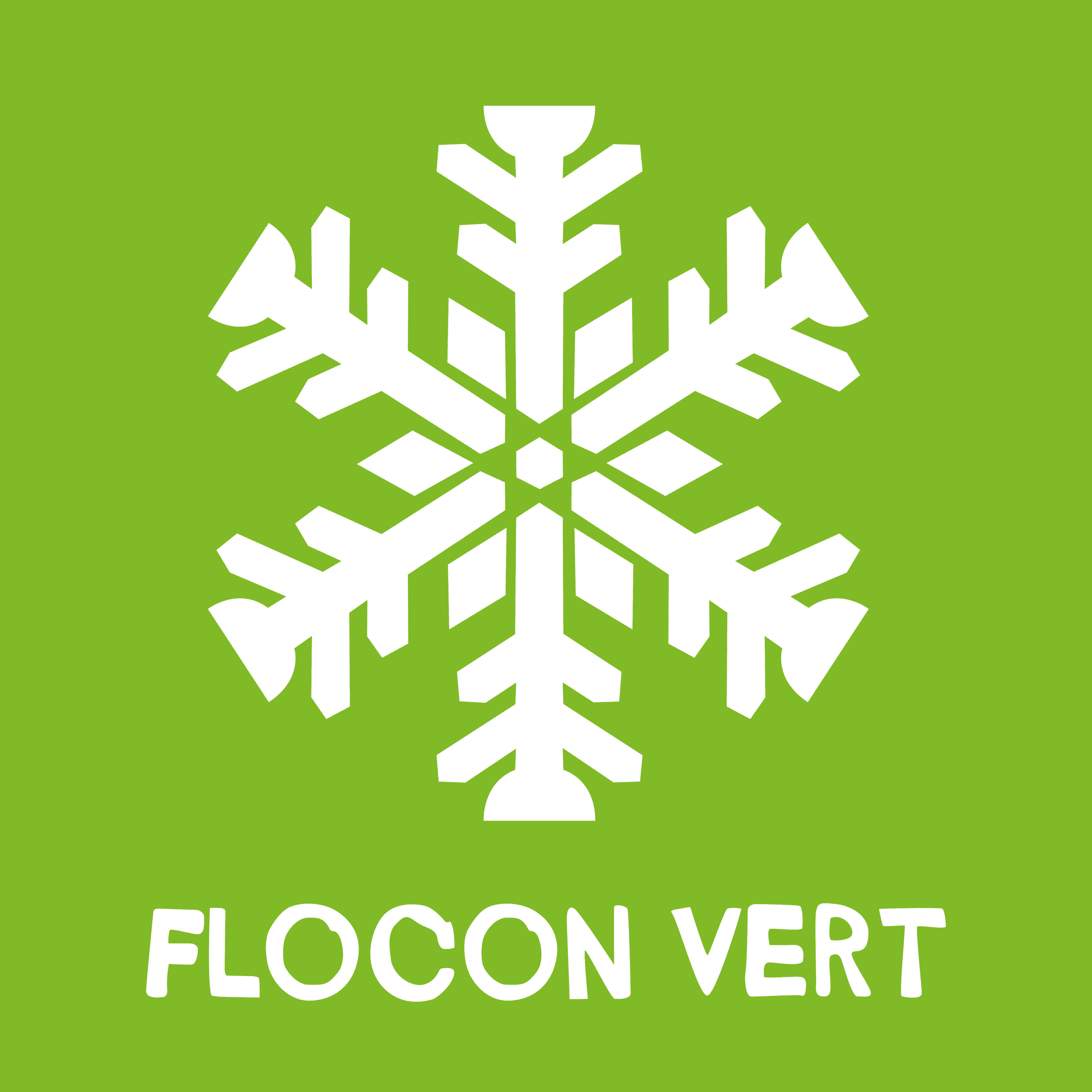 Flocon_Vert_logo.png