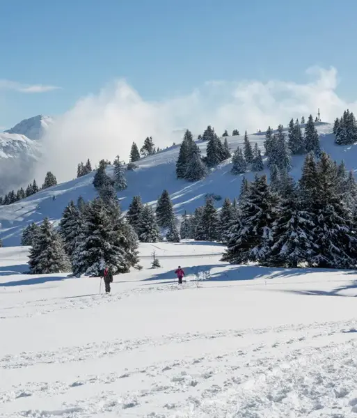 Lake Annecy-Semnoz (DominiqueLafon) (4).webp