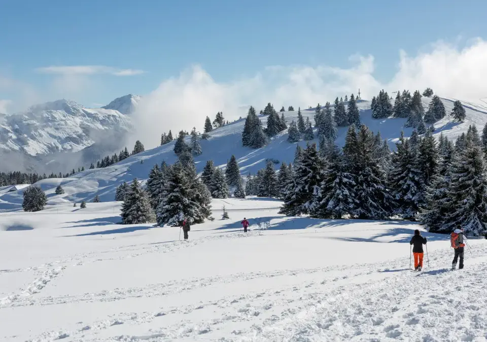 Lake Annecy-Semnoz (DominiqueLafon) (4).webp