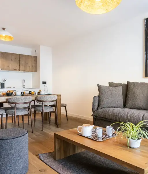 Les Sources de Canopée, St Gervais (self catered apartments) - Typical apartment (©ManuReyboz)