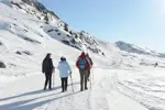 Oz 3300 walking.webp