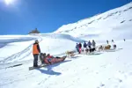 Val Cenis dog sledding (©Daniel Durand).webp