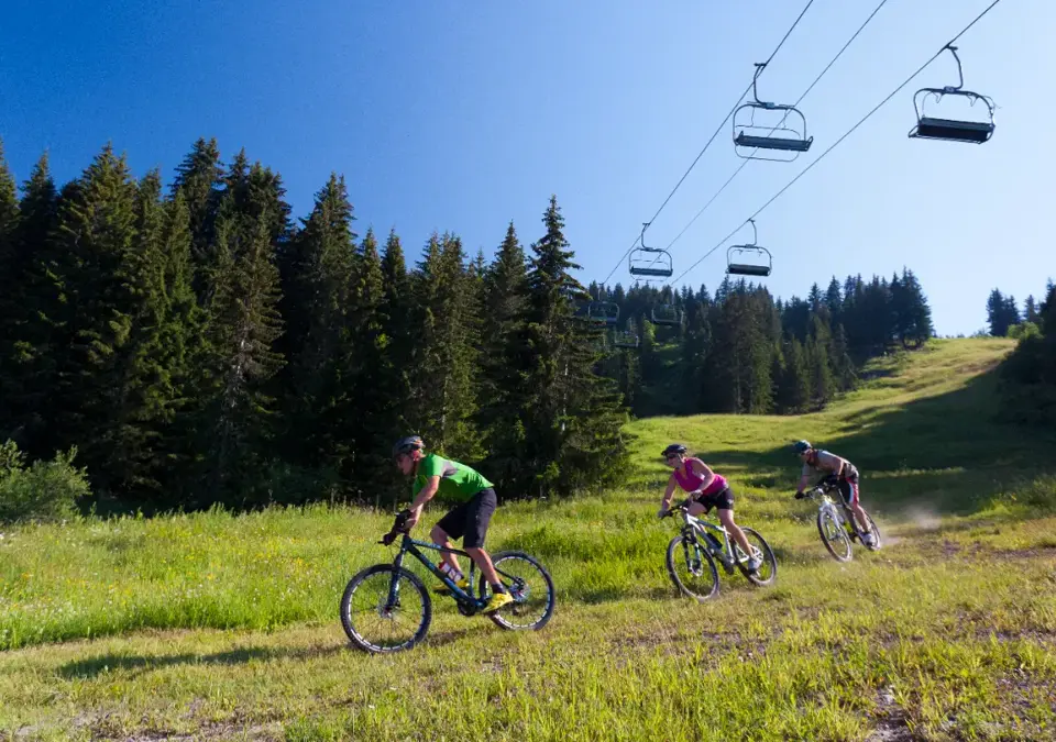 Samoens-Grand Massif-Mountain biking (TristanShu).webp